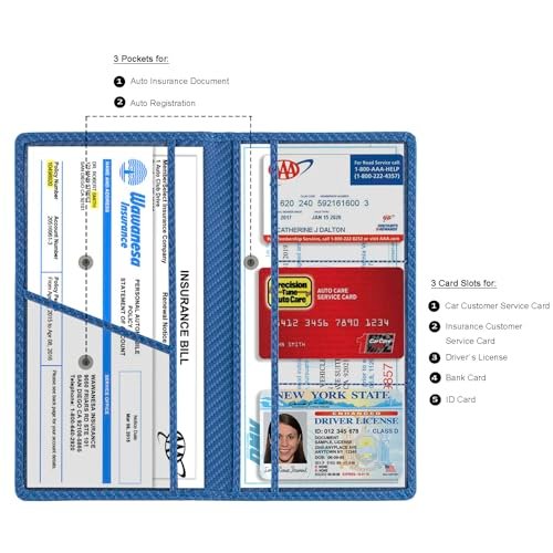 Electronic Vehicle Registration